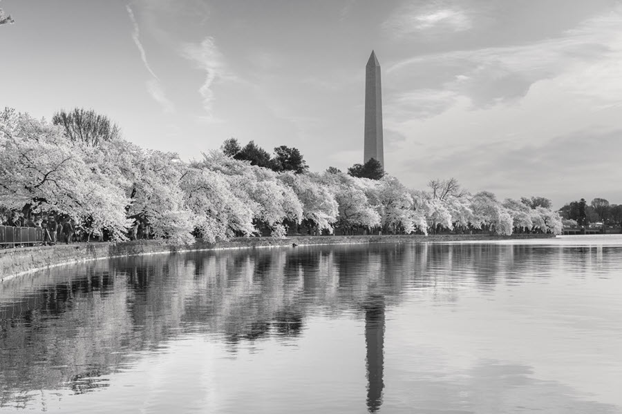 director of security washington dc